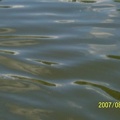shawnee lake water